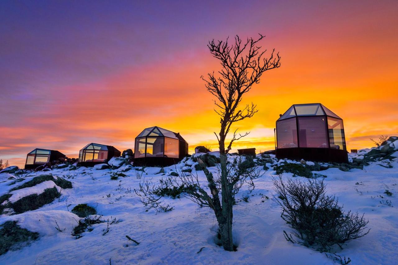 Kalle'S Inn Glass Houses Soderudden المظهر الخارجي الصورة